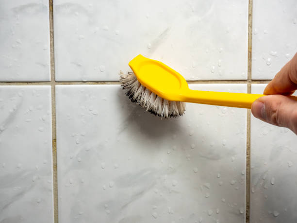 Best Office Mold Removal Services  in Melville, NY