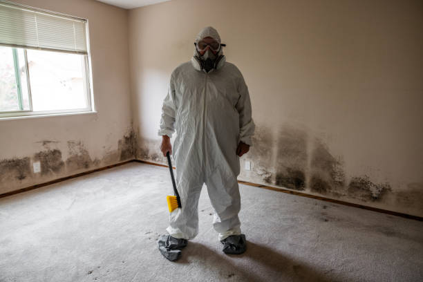 Best Mold Testing  in Melville, NY